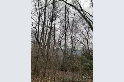 000 Lytle Cove Road, Swannanoa, NC 28778 - Photo 26