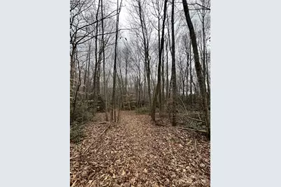 000 Lytle Cove Road, Swannanoa, NC 28778 - Photo 18