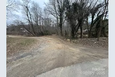 000 Lytle Cove Road, Swannanoa, NC 28778 - Photo 6