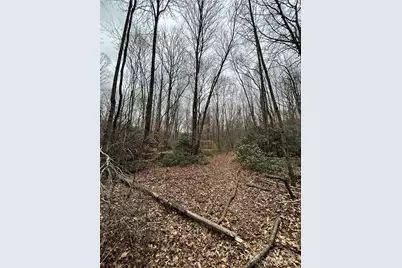 000 Lytle Cove Road, Swannanoa, NC 28778 - Photo 14