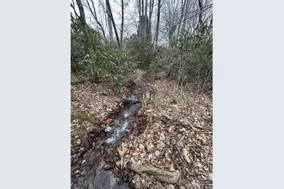 000 Lytle Cove Road, Swannanoa, NC 28778 - Photo 28