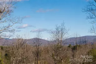 307 Kristy Cabe Dr, Fletcher, NC 28732 - Photo 36