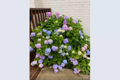 4565 Rob Neal Road, Heath Springs, SC 29058 - Photo 26