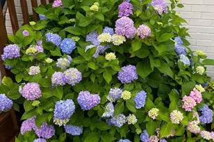 4565 Rob Neal Rd, Heath Springs, SC 29058 - Photo 26