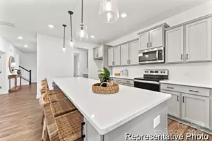 325 Gray Wolf St, China Grove, NC 28023 - Photo 8