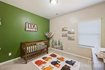 7316 Strawberry Fields Lane, Charlotte, NC 28278 - Photo 26