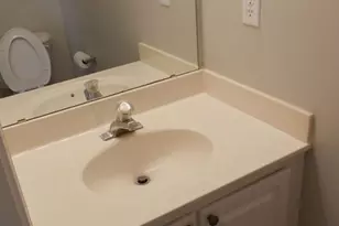 12317 Paperbark Cir, Charlotte, NC 28277 - Photo 8