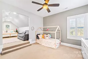 233 Walking Horse Trail, Davidson, NC 28036 - Photo 38