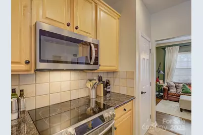 10315 Samuels Way Drive, Huntersville, NC 28078 - Photo 8