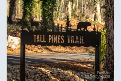 18 Tall Pines Trail, Arden, NC 28704 - Photo 4