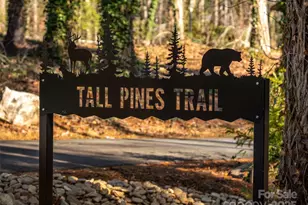 18 Tall Pines Trail, Arden, NC 28704 - Photo 4