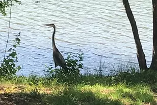 260 Bridges Farm Rd, Mooresville, NC 28115 - Photo 42