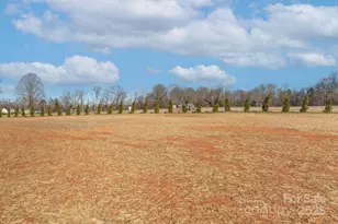 278 Sandpiper Dr, Lexington, NC 27295 - Photo 44