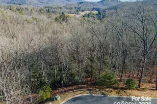 80 Buckhead Trail, Mills River, NC 28742 - Photo 20