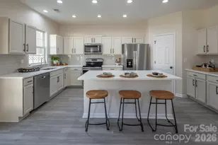 10631 Atkins Ridge Dr, Charlotte, NC 28213 - Photo 4