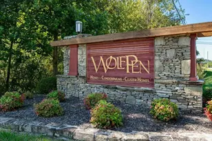 1505 Deermouse Way, Hendersonville, NC 28792 - Photo 30