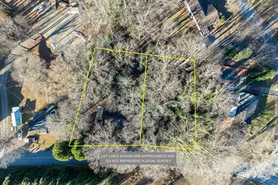 433 Osborne Road, Brevard, NC 28712 - Photo 30