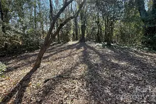 2621 Dr Carver Rd, Charlotte, NC 28208 - Photo 8