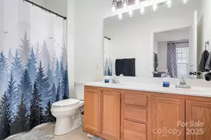 18605 Ruffner Dr, Cornelius, NC 28031 - Photo 20