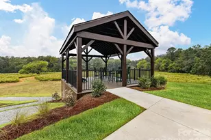 254 Alluvium Ln, Waxhaw, NC 28173 - Photo 18