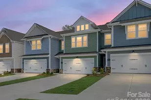 254 Alluvium Ln, Waxhaw, NC 28173 - Photo 18