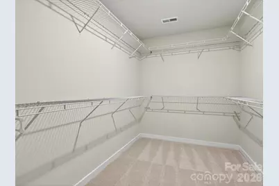 254 Alluvium Lane, Waxhaw, NC 28173 - Photo 26