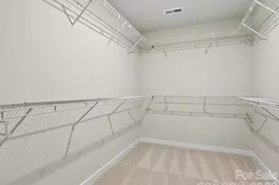 254 Alluvium Ln, Waxhaw, NC 28173 - Photo 26