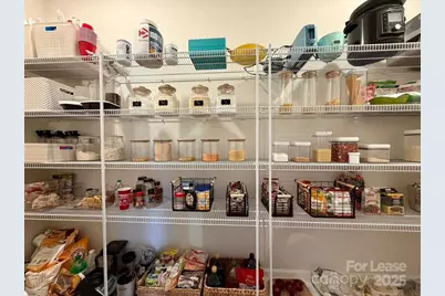 15107 Nichols Hall Drive, Charlotte, NC 28273 - Photo 10