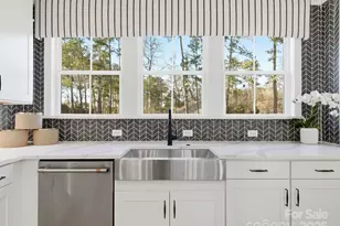 12023 Elsa Ln, Charlotte, NC 28277 - Photo 16