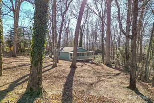 113 Pin Cherry Ln, Candler, NC 28715 - Photo 12