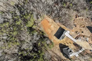 95 Lexxi Ln, Tryon, NC 28782 - Photo 32