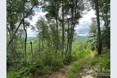 Tbd Nc Highway 194 None S, Sugar Grove, NC 28679 - Photo 12