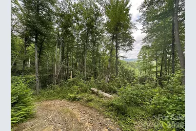 Tbd Nc Highway 194 None S, Sugar Grove, NC 28679 - Photo 24