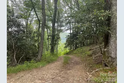 Tbd Nc Highway 194 None S, Sugar Grove, NC 28679 - Photo 26