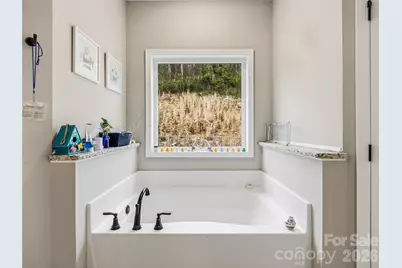 170 Starry Night Lane, Marshall, NC 28753 - Photo 28