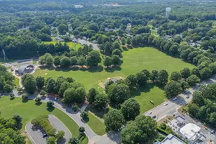 204 Elliott Street W, Fort Mill, SC 29715 - Photo 42