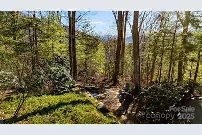 31 Covewood Road, Asheville, NC 28805 - Photo 44
