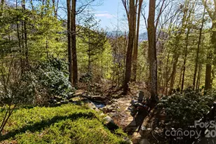 31 Covewood Rd, Asheville, NC 28805 - Photo 44