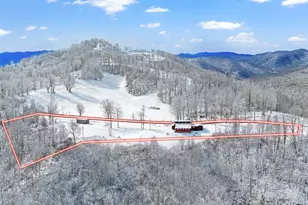 1115 Elk Wallow None, Bakersville, NC 28705 - Photo 34