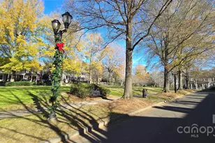 294 Elis Way, Fort Mill, SC 29708 - Photo 28