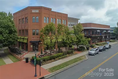 294 Elis Way, Fort Mill, SC 29708 - Photo 34