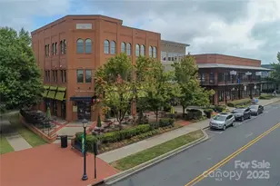 294 Elis Way, Fort Mill, SC 29708 - Photo 34