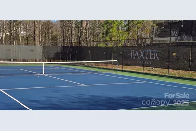 294 Elis Way, Fort Mill, SC 29708 - Photo 32