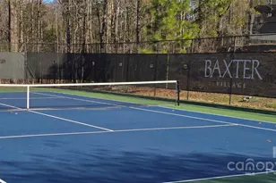 294 Elis Way, Fort Mill, SC 29708 - Photo 32