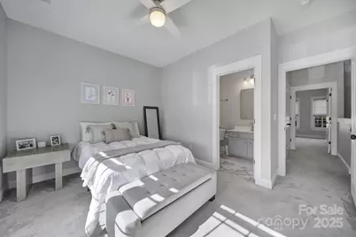 294 Elis Way, Fort Mill, SC 29708 - Photo 14