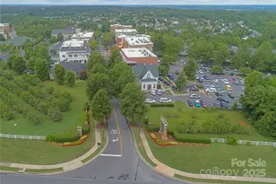 294 Elis Way, Fort Mill, SC 29708 - Photo 36