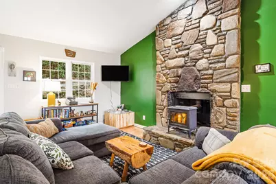 741 Three Mile Knob Road, Pisgah Forest, NC 28768 - Photo 6