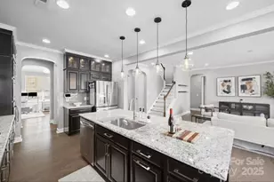 18304 Studman Branch Ave, Charlotte, NC 28278 - Photo 8