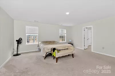 13017 Cinnamon Fern Lane, Mint Hill, NC 28227 - Photo 28