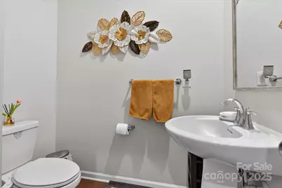 13017 Cinnamon Fern Lane, Mint Hill, NC 28227 - Photo 24